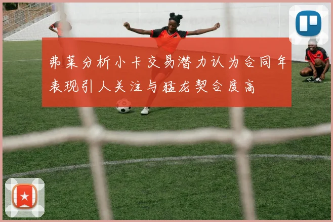 弗莱分析小卡交易潜力认为合同年表现引人关注与猛龙契合度高