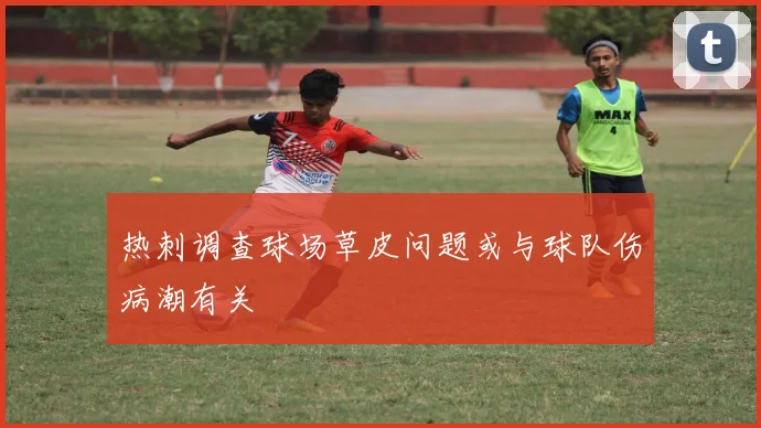 热刺调查球场草皮问题或与球队伤病潮有关