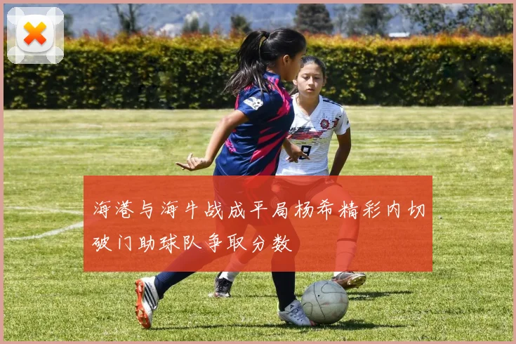 海港与海牛战成平局杨希精彩内切破门助球队争取分数
